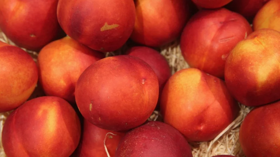 Какво ще се случи с тялото ви, ако всеки ден ядете нектарини