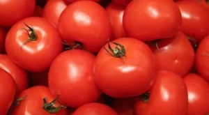 За десет месеца сме внесли 8200 тона домати