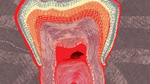 "Бели зъби" е смешен, наситен, богат, великодушен роман