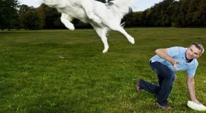 Трето издание на "Живей активно! и със своето куче"