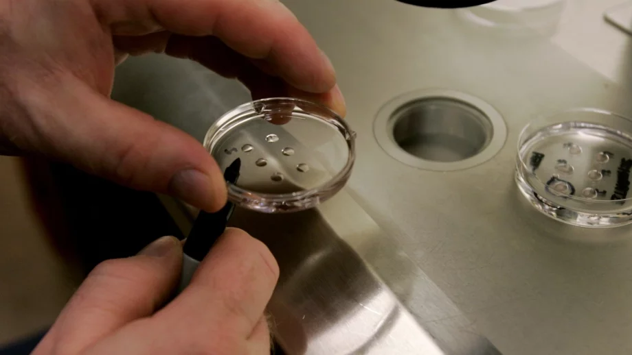 Онкоболни жени ще могат да ползват държавни средства за ин витро