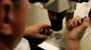 Предлагат да се създаде регистър на двойките с репродуктивни проблеми