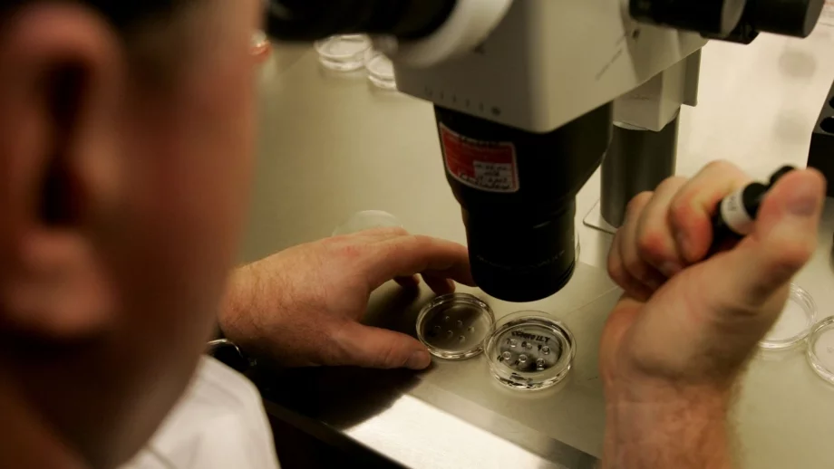 Предлагат да се създаде регистър на двойките с репродуктивни проблеми