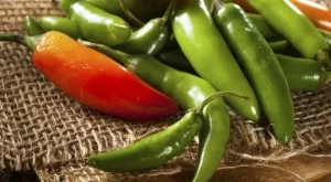 Люто и коприва за чисти бели дробове