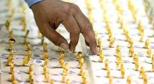 2014/09/25/0695359001411645454