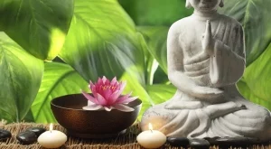 Фън шуй правила за дома, привличащи богатството