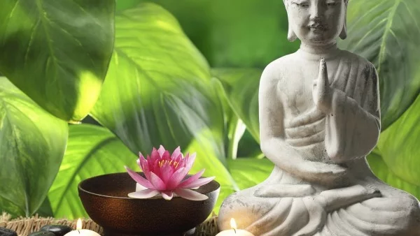 Фън шуй правила за дома, привличащи богатството