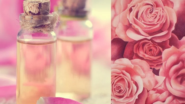 Сивият сектор в преработката на розово масло е 90%