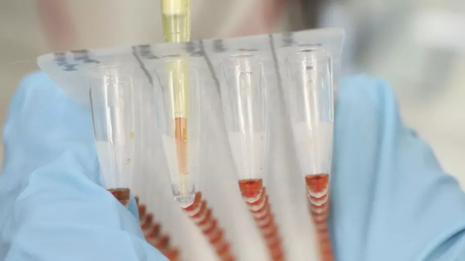 Спешен резерв от ваксини срещу Ебола създаде СЗО