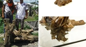    Дървени мебели от отпадъци