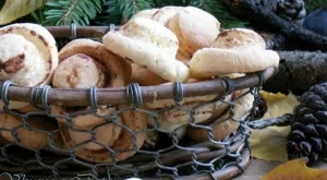 Бисквити гъбки 