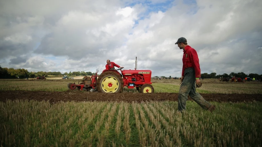 Забранява се пръскането на продукцията с препарати от 9 до 19:30 ч.