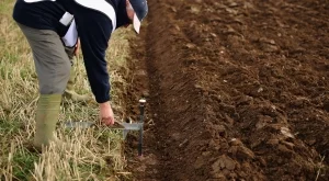 2014/10/13/0121805001413182260