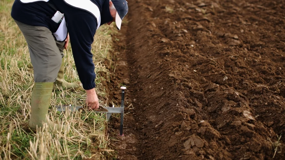 България с 1 млрд. евро положително салдо от аграрна търговия