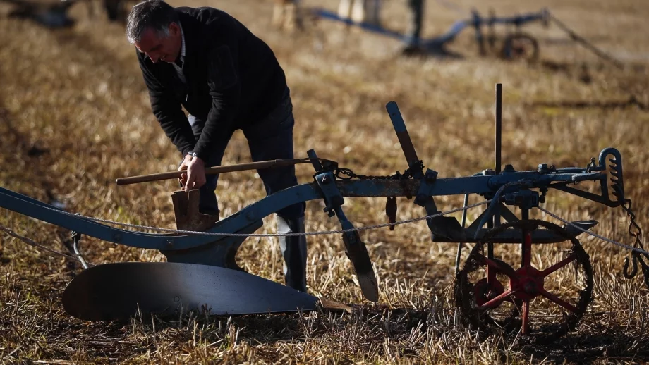 Производителността на труда е най-ниска в земеделието 