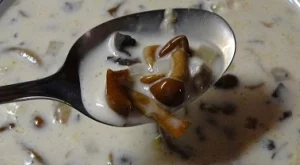 Млечна супа с гъби