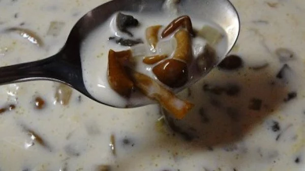 Млечна супа с гъби