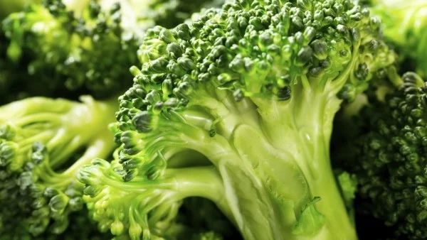 Храни, борещи стреса   