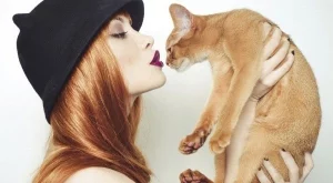 Ако бях котка...