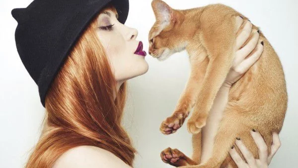 Ако бях котка...