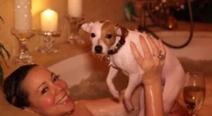 Марая Кери и Ник Кенън се карат за кучетата си