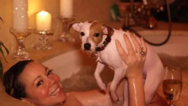 Марая Кери и Ник Кенън се карат за кучетата си