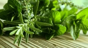 Римски лекар споделя съвети за здравето