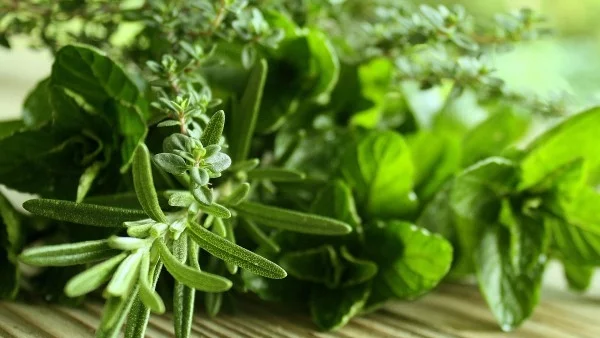 Римски лекар споделя съвети за здравето