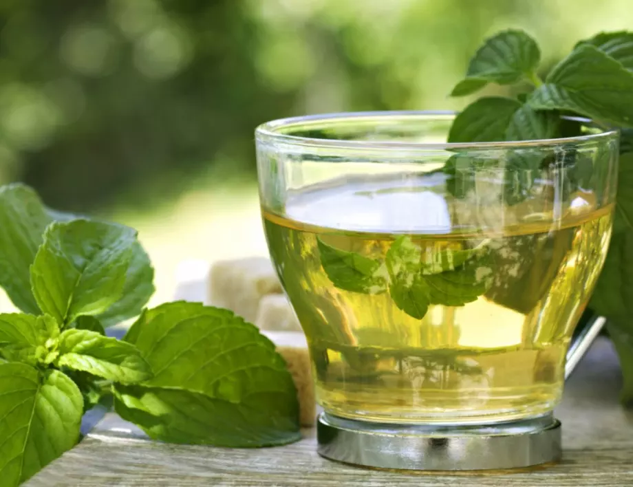 6 причини да пиете зелен чай всеки ден