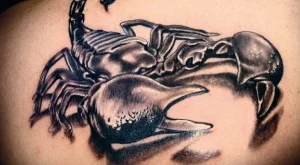 Любовна съвместимост на зодия Скорпион