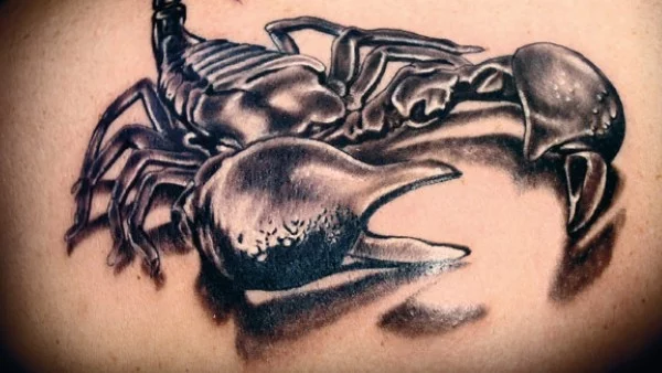 Любовна съвместимост на зодия Скорпион