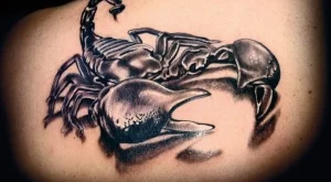 Как да покорим мъжа Скорпион