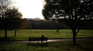 Данъчните проверяват търговците в столичните паркове