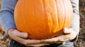 Упражнения с тиква