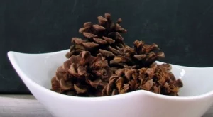 Ароматни шишарки