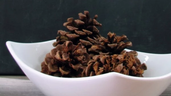 Ароматни шишарки