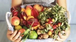 ДФЗ преведе първите 460 000 лева по схема „Училищен плод“