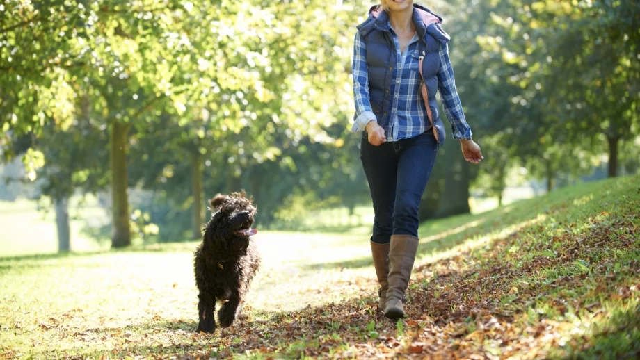 17 от най-добрите навици, които бихте могли да имате 