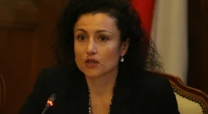 Танева: Няма как да се преборим с незаконната сеч за два месеца 