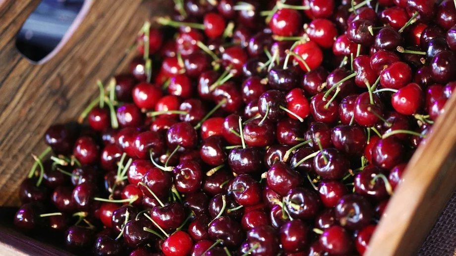 Производители на череши протестираха заради ниски изкупни цени 