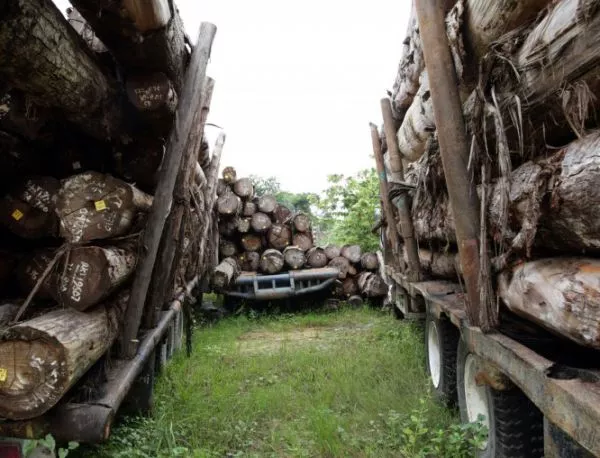 Правителството иска следене от разстояние на превоза на дървесина