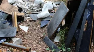 2014/11/24/0994635001416830364