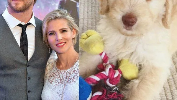 Крис Хемсуърт увеличи семейството си