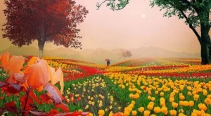 Тест на Фройд разкрива приоритетите в живота ни