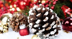 Коледна украса с шишарки