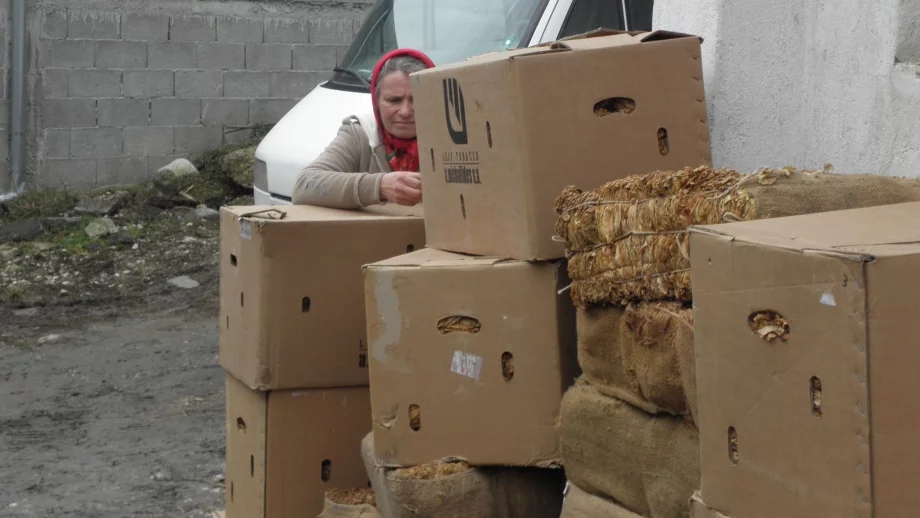 Към областните земеделски дирекции вече ще има и комисии по тютюна