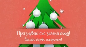 Зелена Колед@ в офиса