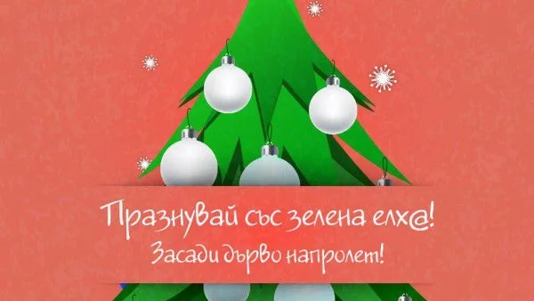 Зелена Колед@ в офиса