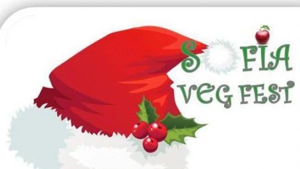 Коледен благотворителен ВЕГ Фест 