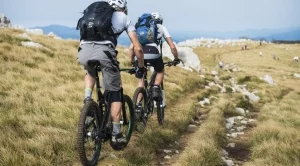 2014/12/15/0414118001418652439